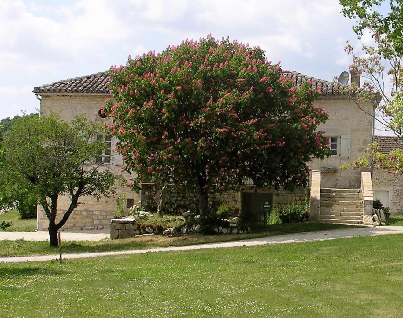 Domaine De L'Isle Basse Acomodação com café da manhã Fontanes  Exterior foto